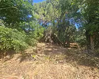 Terrain, 950 m²