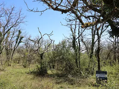 Terrain, 2 508 m²