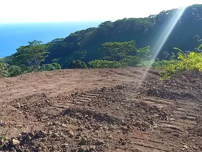 Terrain, 5 000 m²
