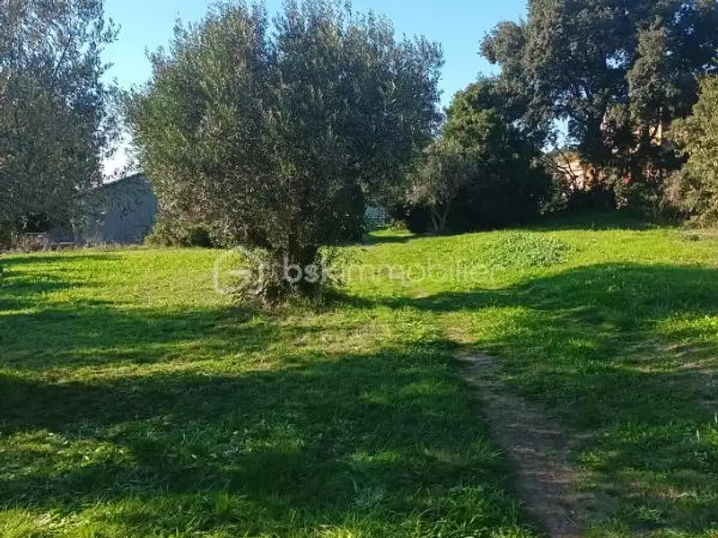 Terrain, 2 376 m²