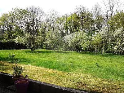 Terrain, 990 m²