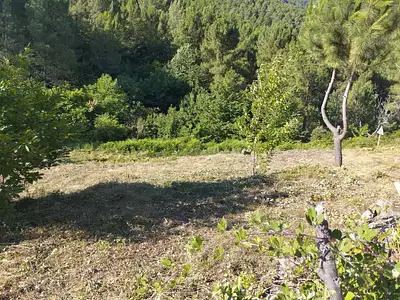 Terrain, 1 692 m²