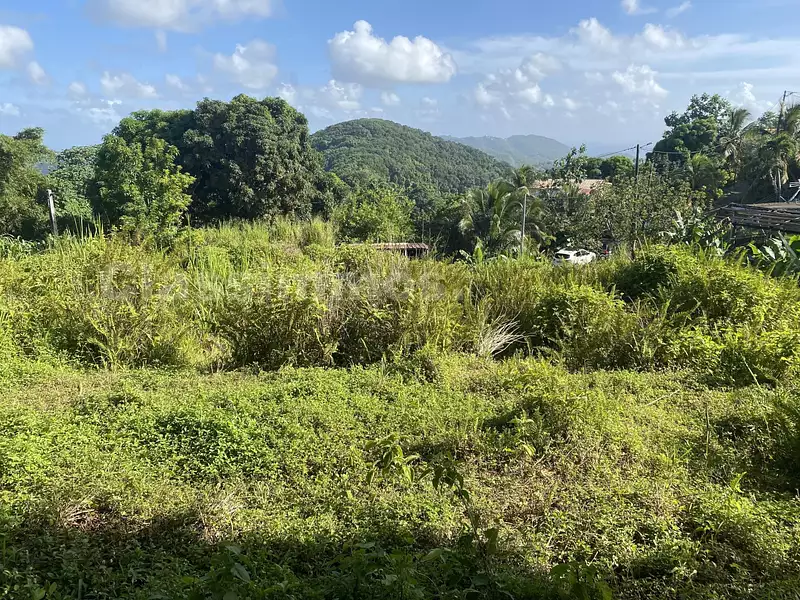 Terrain, 2 280 m²