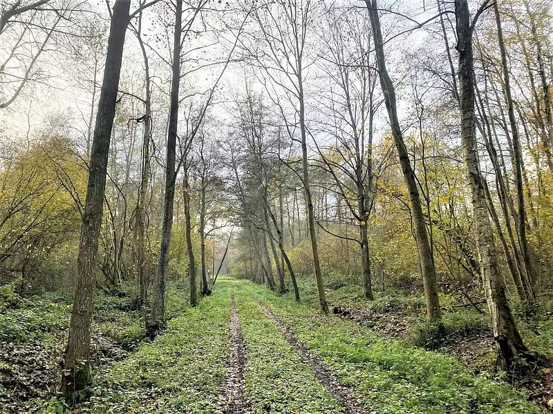 Terrain, 23,5 m²