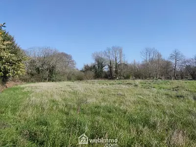Terrain
