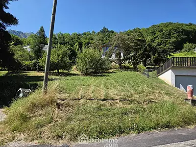 Terrain