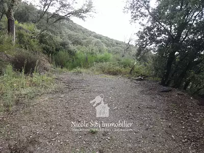 Terrain, 106 625 m²