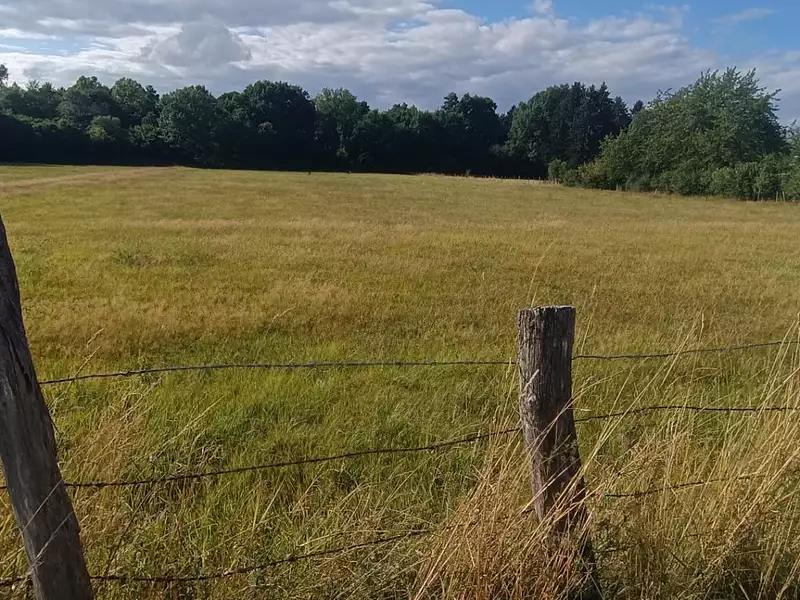 Terrain, 9 159 m²