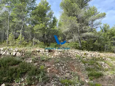 Terrain, 30 000 m²