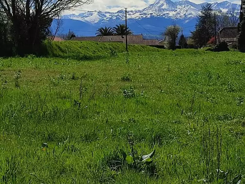 Terrain, 1 200 m²
