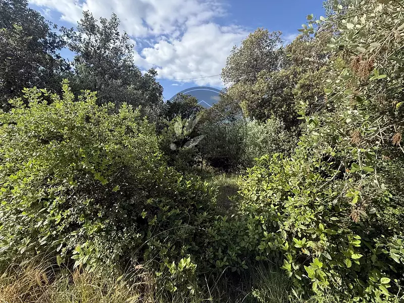 Terrain, 805 m²
