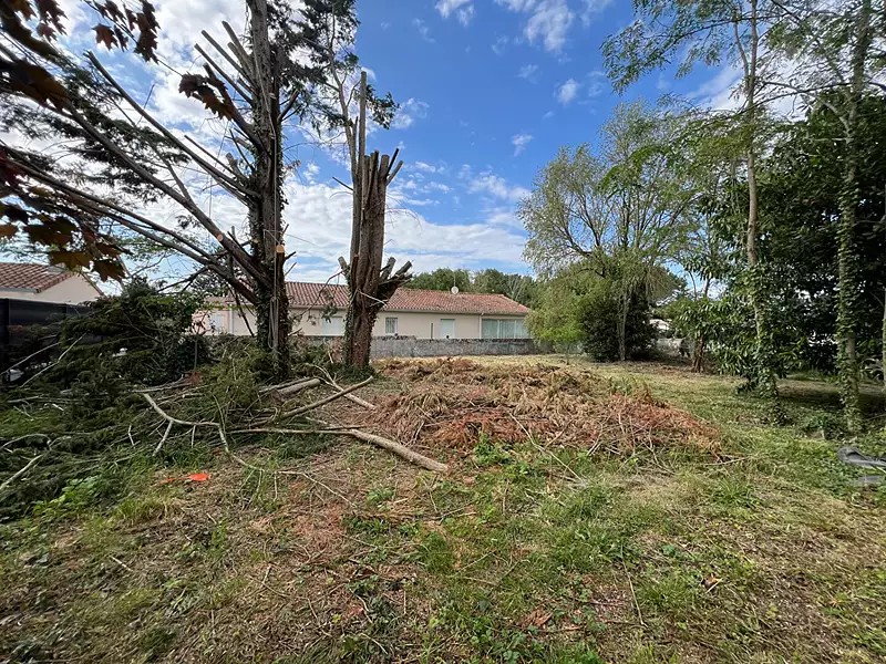 Terrain, 439 m²