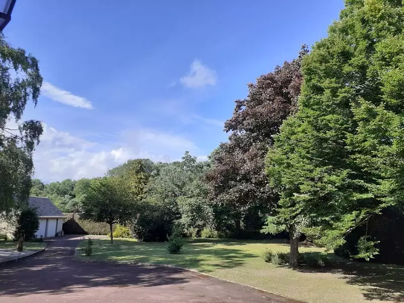 Maison, 229 m²