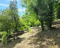 Terrain, 1 343 m²