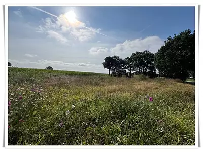 Terrain, 1 081 m²