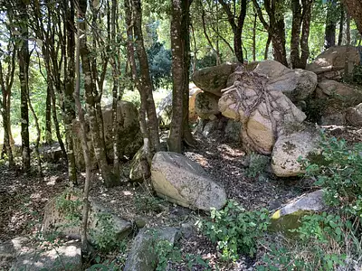 Terrain, 495 m²