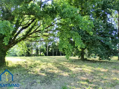 Maison, 80 m²