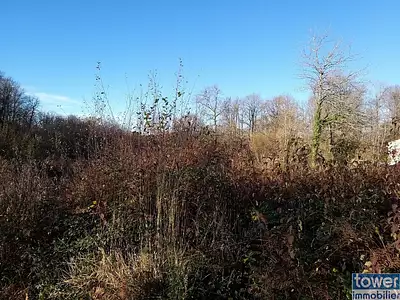 Terrain, 2 640 m²