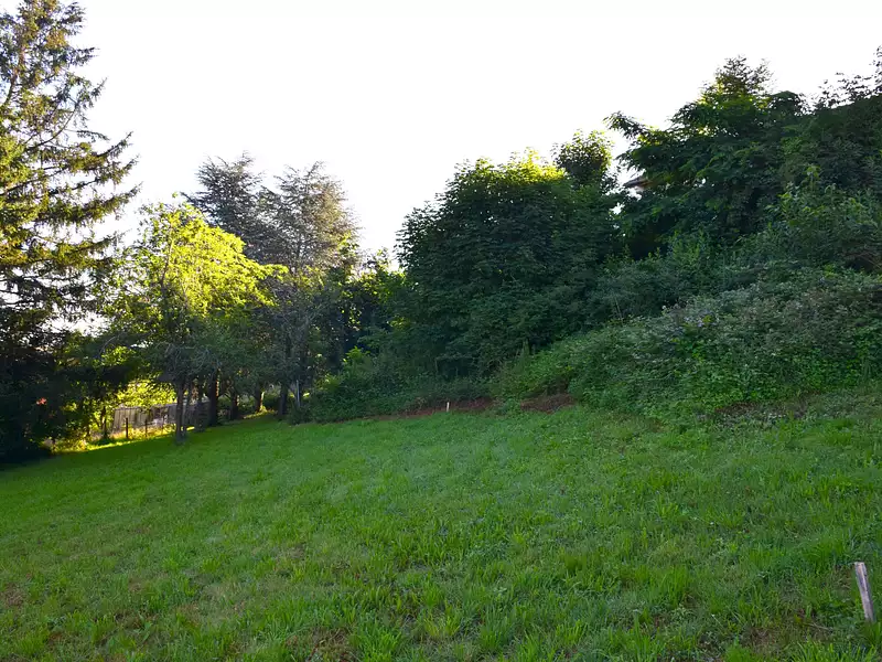 Terrain, 1 245 m²
