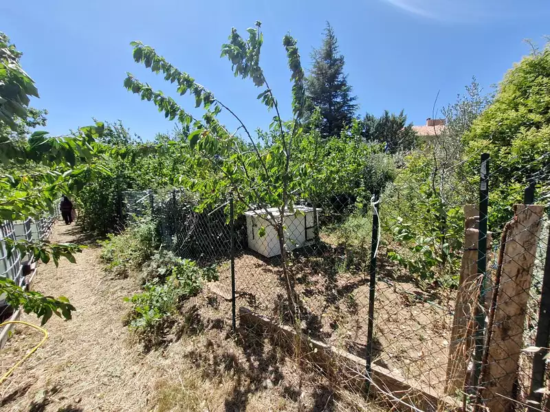 Terrain, 1 886 m²