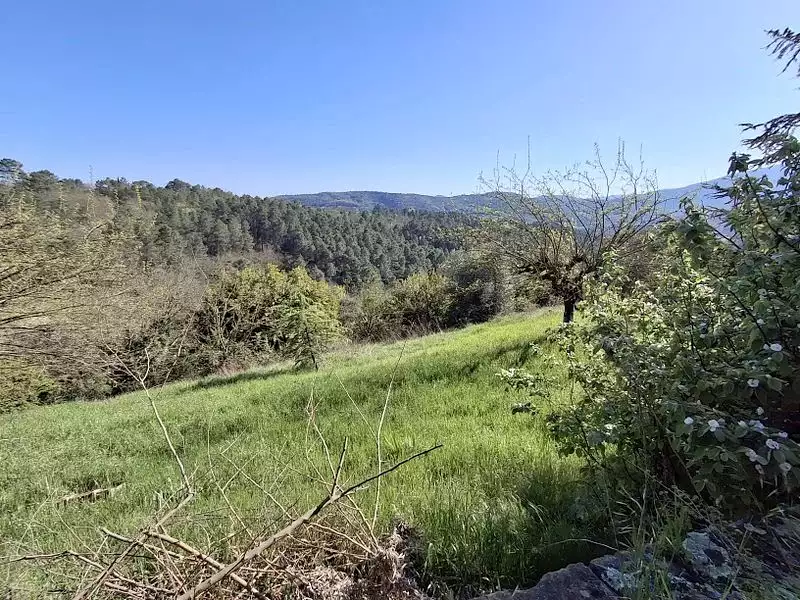 Maison, 350 m²