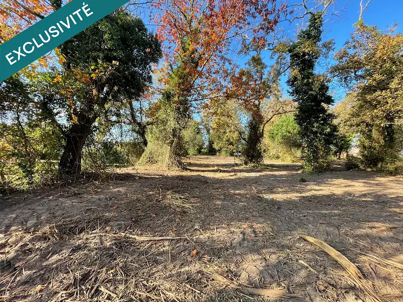 Terrain, 1 200 m²