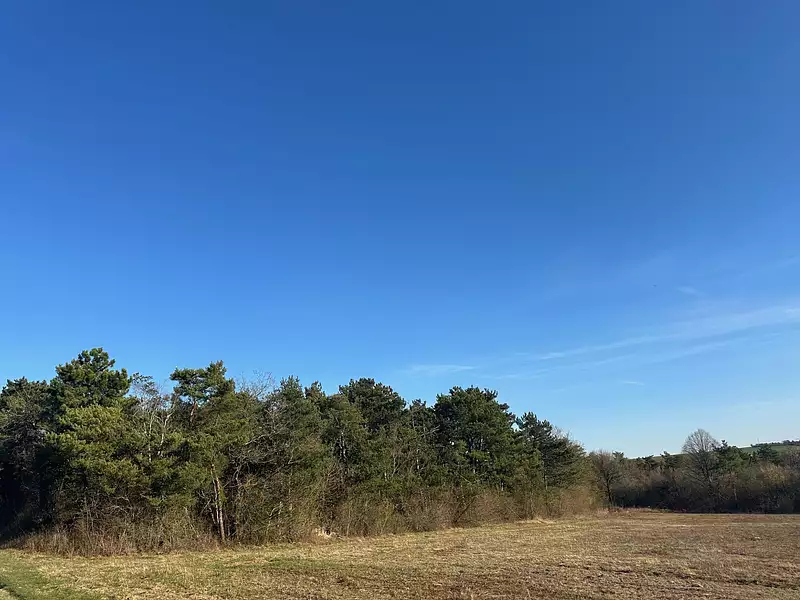 Terrain, 90 162 m²