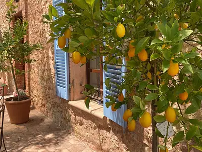 Maison, 209 m²