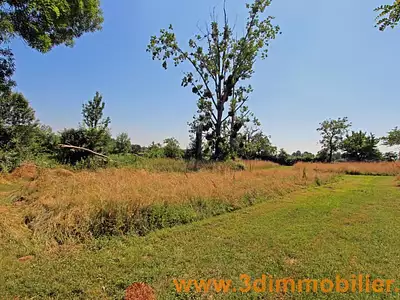 Maison, 290 m²
