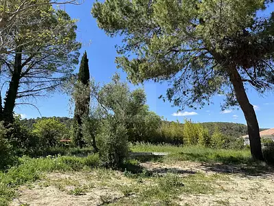Terrain