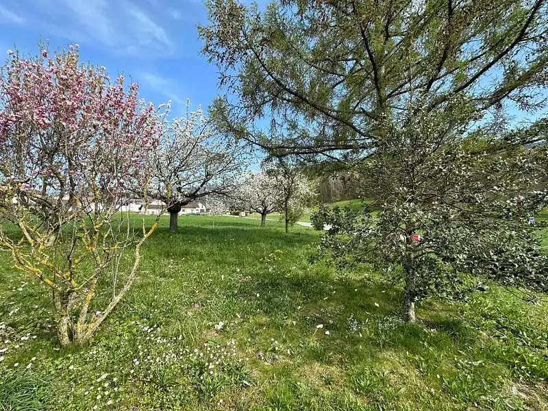 Terrain, 702 m²