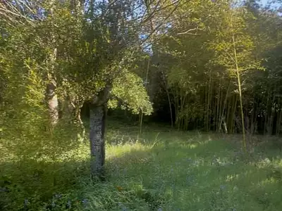 Terrain, 800 m²
