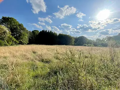 Terrain, 782 m²