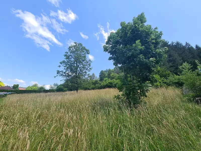 Terrain, 941 m²