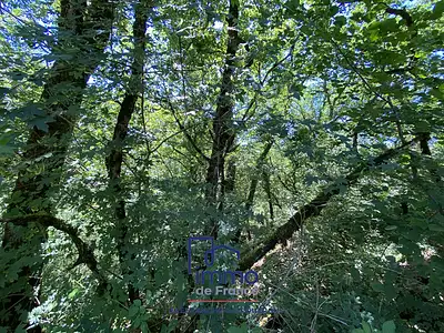 Terrain, 3 080 m²