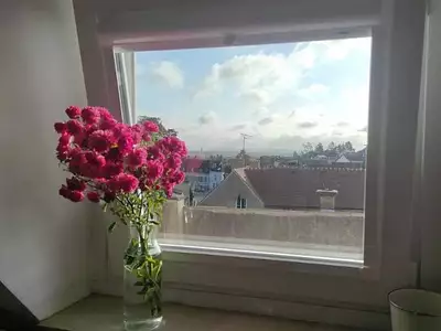 Appartement, 36,1 m²