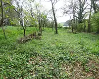 Terrain, 2 130 m²