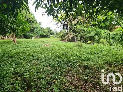 Terrain, 1 196 m²