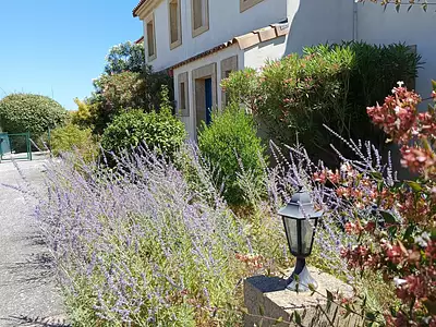 Maison, 67 m²