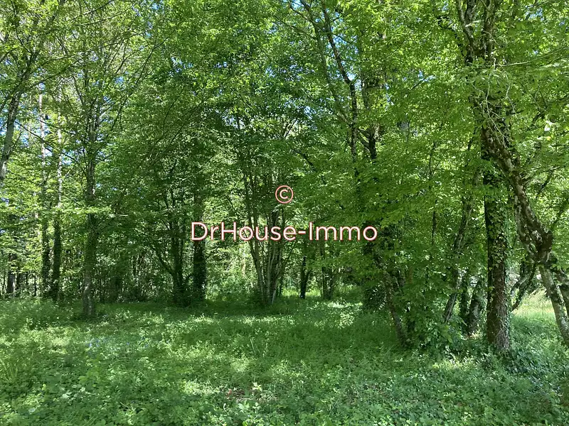 Maison, 280 m²