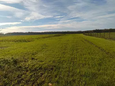Terrain, 1 298 m²