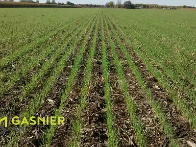 Divers, 1 250 000 m²