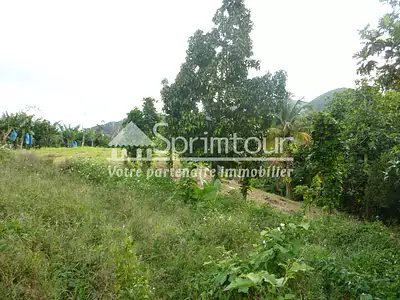 Terrain, 1 200 m²