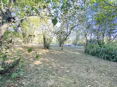 Maison, 203 m²