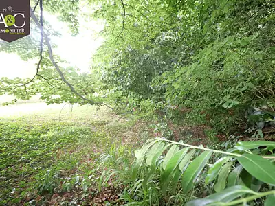 Terrain, 745 m²