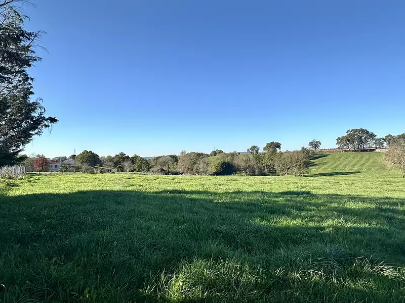Terrain, 775 m²