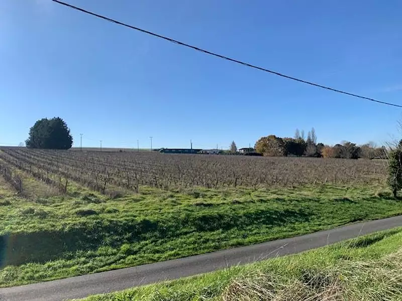 Terrain, 137 000 m²