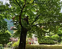 Appartement, 42,34 m²