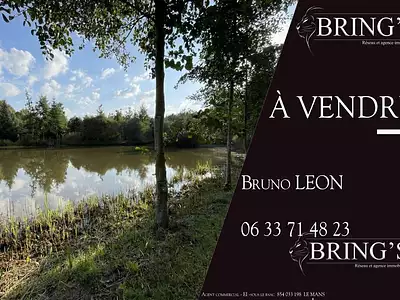 Terrain, 47 800 m²