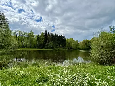 Terrain, 17 892 m²